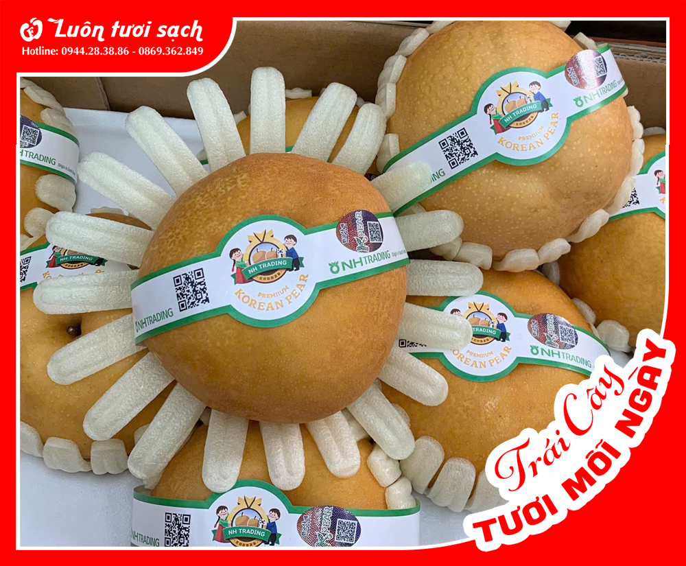 Lê Nâu Hàn Quốc